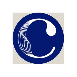 The Charlotte Symphony brand logo for charlottesymphony.org