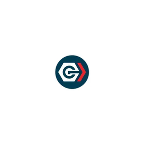 The Chertoff Group brand logo for chertoffgroup.com