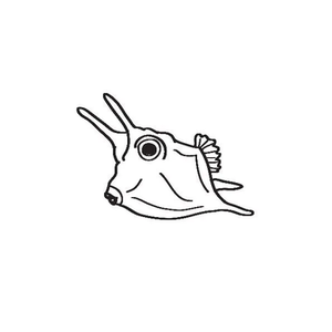 The Cowfish brand logo for cowfish.com.au