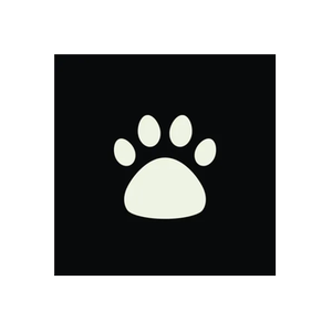 The Dog Stag brand logo for dogstag.co.uk