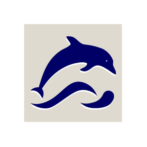 The Dolphin Shuttle brand logo for dolphinshuttle.com