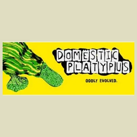 The Domestic Platypus brand logo for domesticplatypus.com