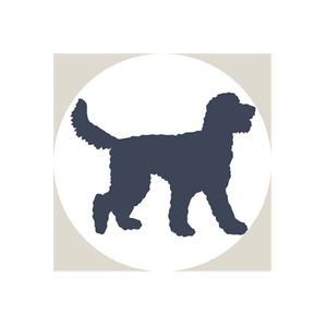 The Doodle Doods brand logo for doodledoods.com