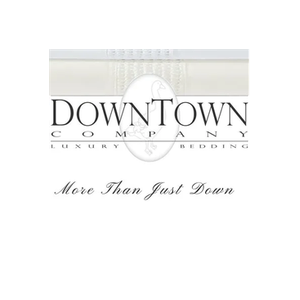 The Downtown Company brand logo for downtowncompany.com