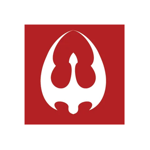 The Dragon Federation brand logo for dragonfederation.com