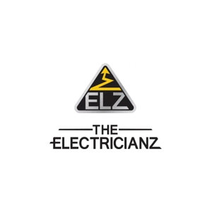 the-electricianz brand logo for the-electricianz.com