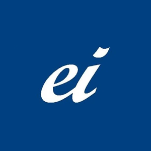 The Esthetic Institute brand logo for estheticinstitute.com