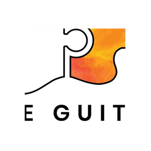 The Guitar Kit Fabric brand logo for guitarkitfabric.co.uk