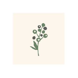 The Juneberry Table brand logo for juneberrytable.com
