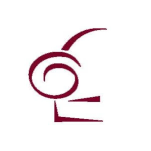 The Leather Shoppes brand logo for leathershoppes.com