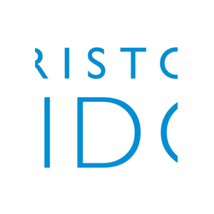 The Lido brand logo for lidobristol.com