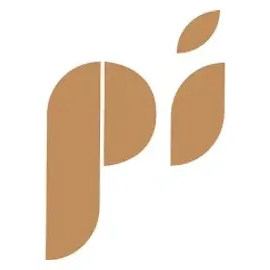 Webflow brand logo for the-pi-collection.webflow.io