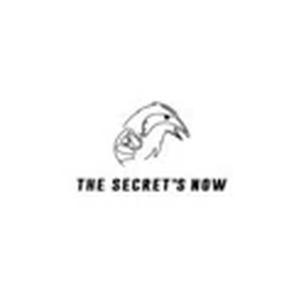 The Secret's Now brand logo for thesecretsnow.com
