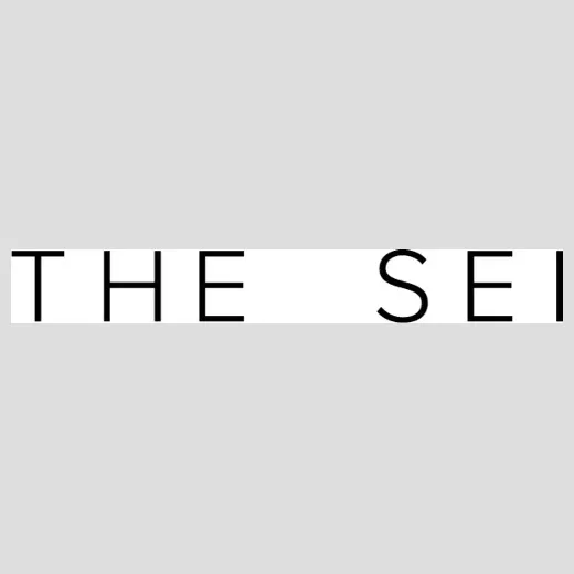 the-sei brand logo for the-sei.com