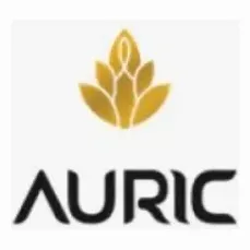 theauric brand logo for theauric.com