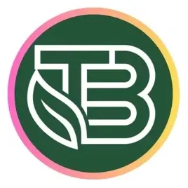thebalancr brand logo for thebalancr.com