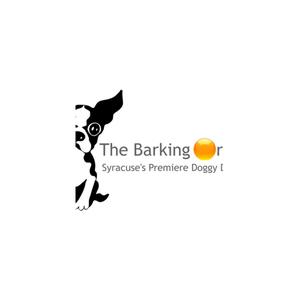 thebarkingorange brand logo for thebarkingorange.com