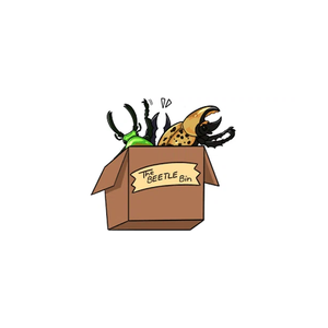 thebeetlebin brand logo for thebeetlebin.net