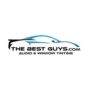 thebestguys brand logo for thebestguys.com