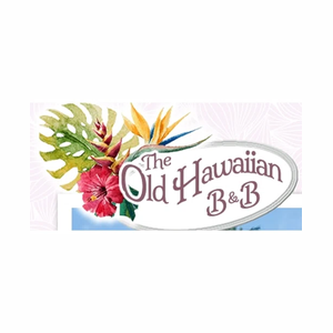 thebigislandvacation brand logo for thebigislandvacation.com