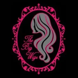thebigwigsinc brand logo for thebigwigsinc.com