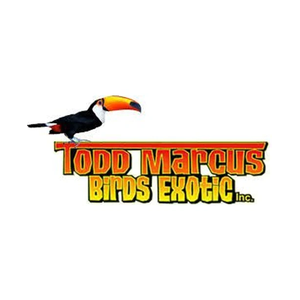 thebirdstore brand logo for thebirdstore.com