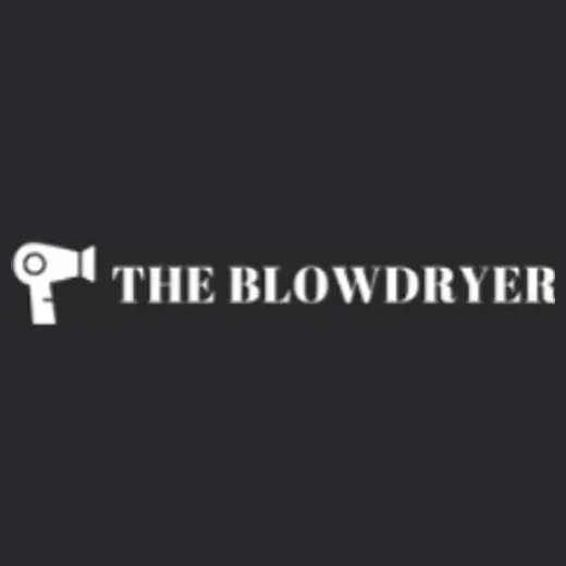 theblowdryer brand logo for theblowdryer.com