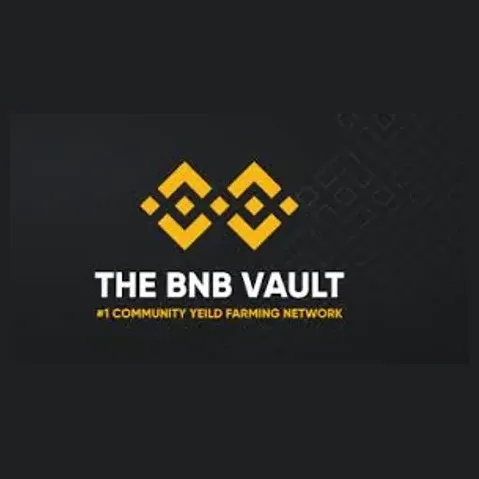 thebnbvault brand logo for thebnbvault.com