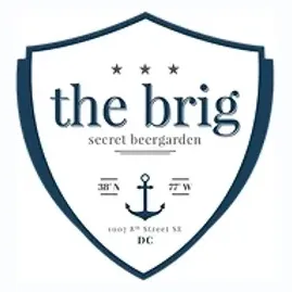 thebrigdc brand logo for thebrigdc.com