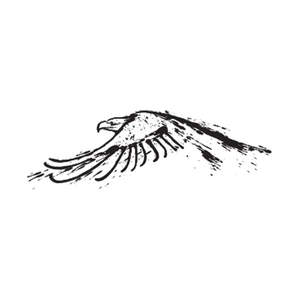 thecenterforbirdsofprey brand logo for thecenterforbirdsofprey.org