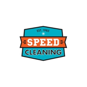 thecleanteam brand logo for thecleanteam.com