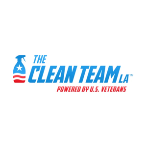 thecleanteamla brand logo for thecleanteamla.com