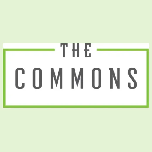 thecommonsnyc brand logo for thecommonsnyc.com