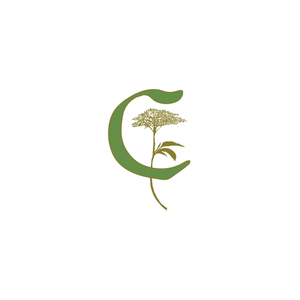 thecorsonbuilding brand logo for thecorsonbuilding.com