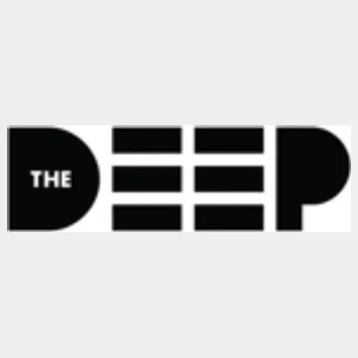 thedeep brand logo for thedeep.life