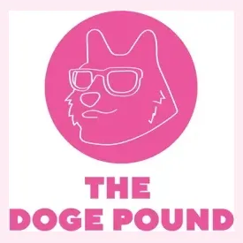 thedogepoundnft brand logo for thedogepoundnft.com