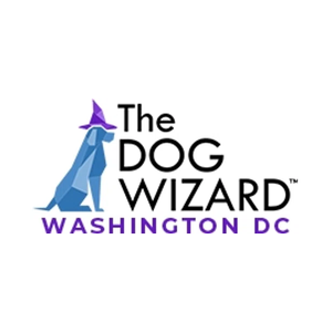 thedogwizard brand logo for thedogwizard.com