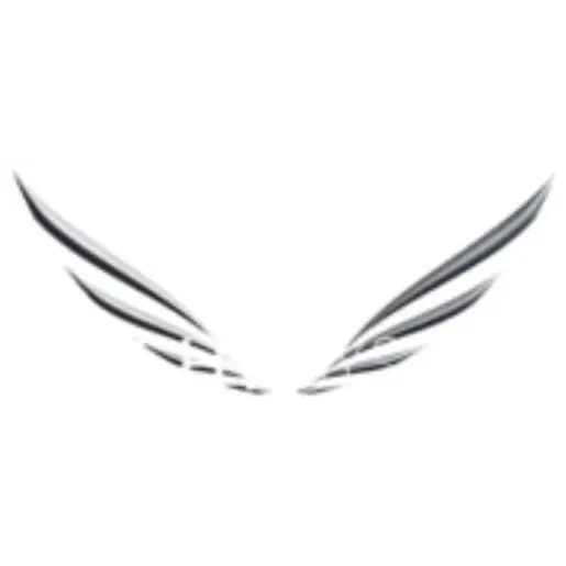 theflightsystem brand logo for theflightsystem.com