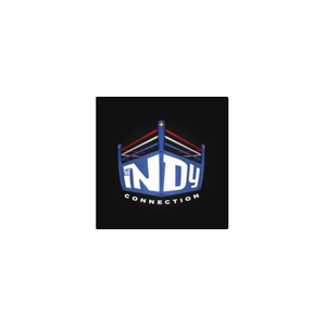 theindyconnection brand logo for theindyconnection.com