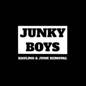 thejunkyboys brand logo for thejunkyboys.com