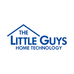 thelittleguys brand logo for thelittleguys.com