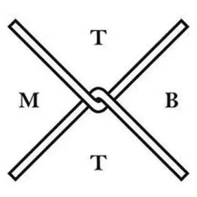 themostbeautifulthingintheworldis brand logo for themostbeautifulthingintheworldis.com