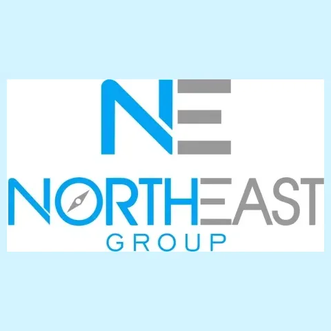 thenortheastgroup brand logo for thenortheastgroup.net