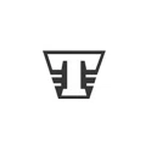 Theory Skateshop brand logo for theoryskate.com
