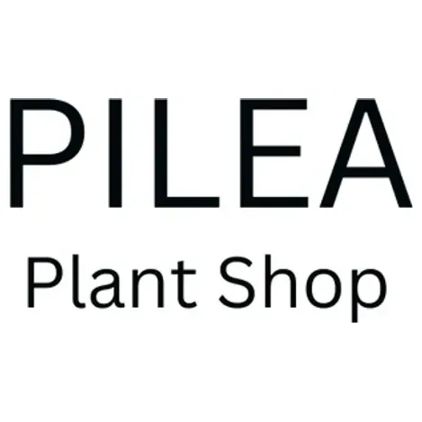 thepileaplantshop brand logo for thepileaplantshop.com