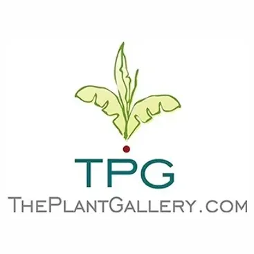theplantgallery brand logo for theplantgallery.com