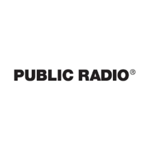 thepublicrad brand logo for thepublicrad.io