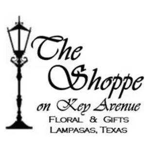 theshoppeonkey brand logo for theshoppeonkey.com