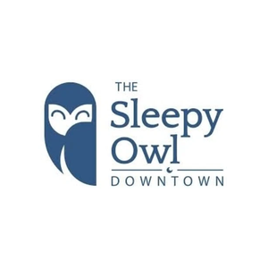 thesleepyowl brand logo for thesleepyowl.com