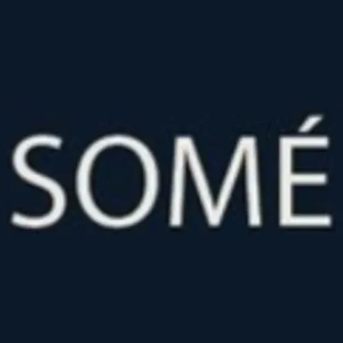 thesomelife brand logo for thesomelife.com